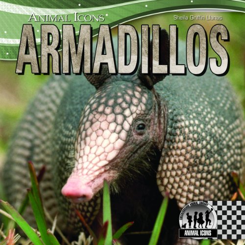 Armadillos by Sheila Griffin Llanas