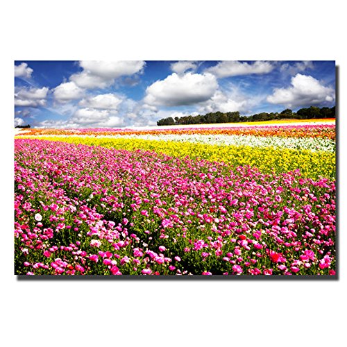 

Field of Flowers IV by Alan Hausenflock Premium Gallery-Wrapped Canvas Giclee Art (Ready-to-Hang)