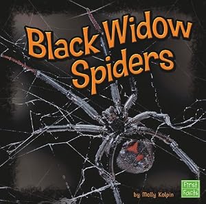 Black Widow Spiders