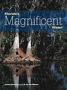 Florida's Magnificent Water