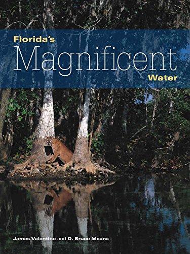 Florida's Magnificent Water by James Valentine