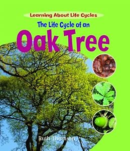 The Life Cycle of an Oak Tree (Learning About Life Cycles)