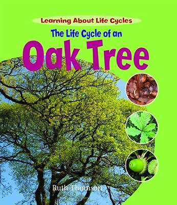 The Life Cycle of an Oak Tree (Learning About Life Cycles)