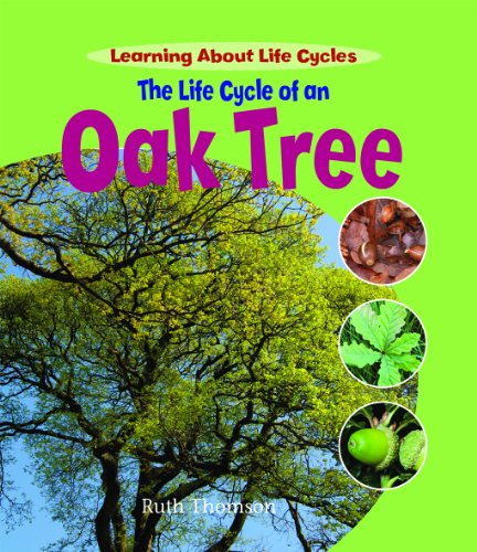 The Life Cycle of an Oak Tree (Learning About Life Cycles) by Ruth Thomson