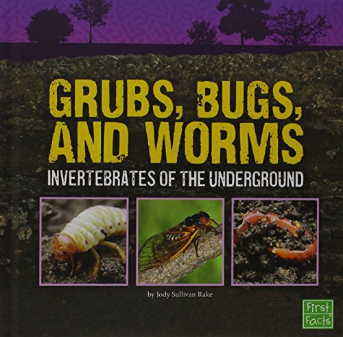 Grubs, Bugs, and Worms: Invertebrates of the Underground by Jody Sullivan Rake