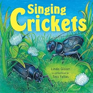 singing crickets