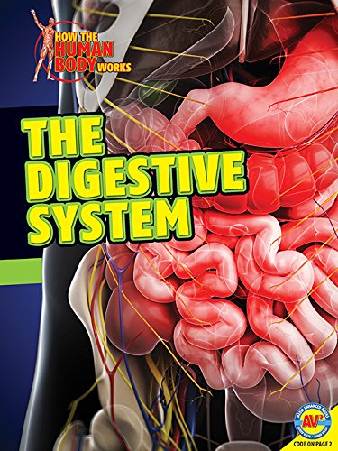 The Digestive System by Simon Rose