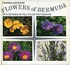 Flowers of Bermuda