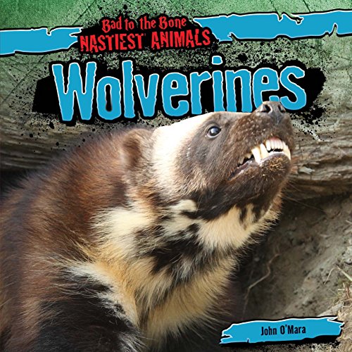 Wolverines by John O'mara