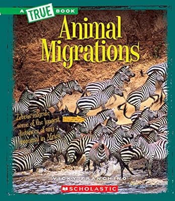 Animal Migrations