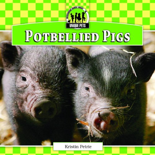 Potbellied Pigs by Kristin Petrie