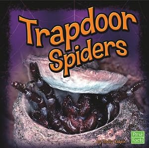 Trapdoor Spiders