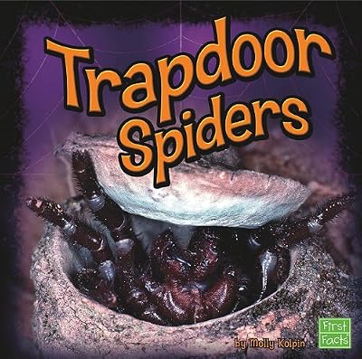 Trapdoor Spiders