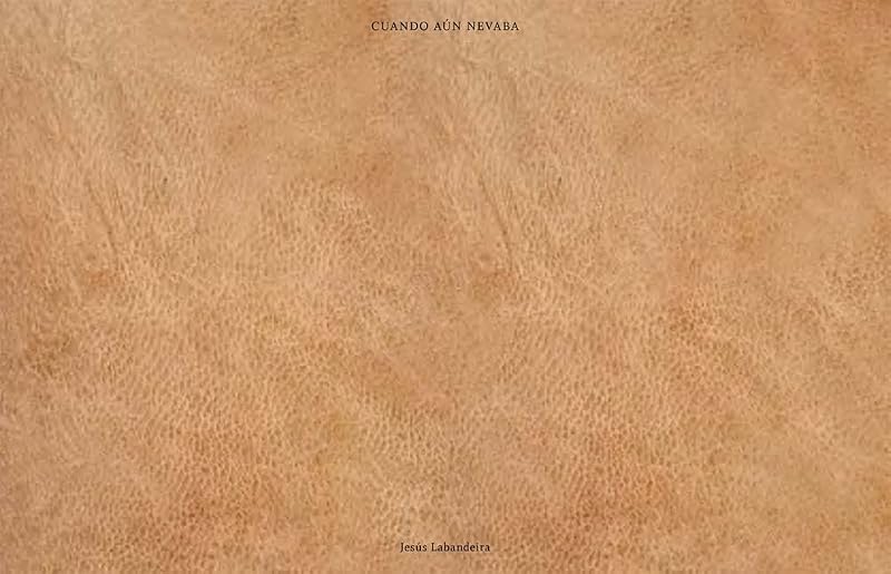 Jesus Labandeira: Cuando aun nevaba: When It Still Used to Snow by Jesus Labandeira
