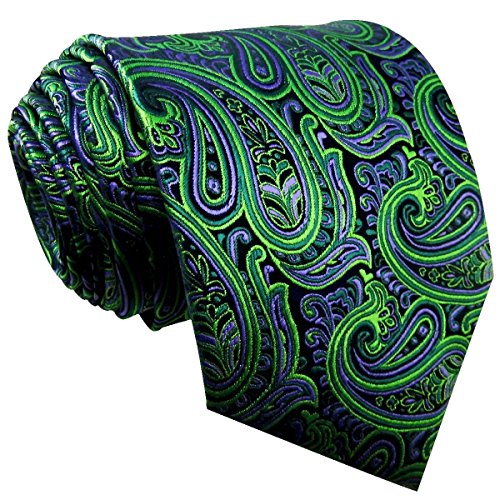 Shlax & Wing Men's Neckties Ties Paisley Green Purple Accessories