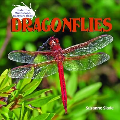 Dragonflies (Under the Microscope: Backyard Bugs)
