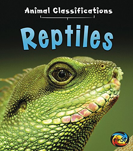 Reptiles by Angela Royston