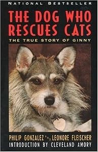 The Dog Who Rescues Cats: The True Story of Ginny by Philip Gonzalez