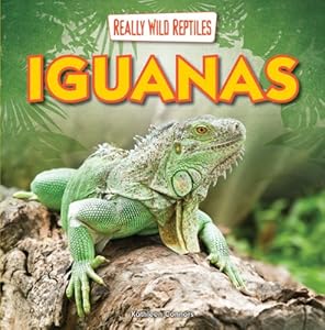 Iguanas