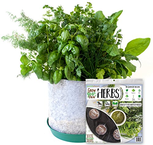 Algopix Similar Product 5 - Grow Your Own Herbs Partial Kit  AS