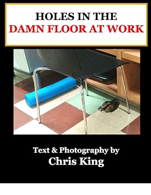 Holes in the Damn Floor at Work: A Visual Study in the Habitat and Life of Holes in the Damn Floor at Work