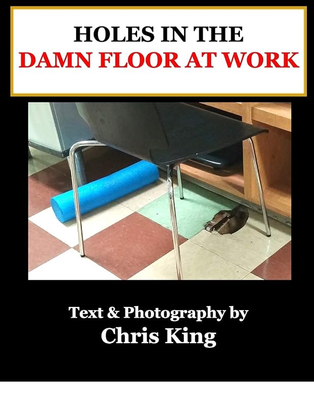 Holes in the Damn Floor at Work: A Visual Study in the Habitat and Life of Holes in the Damn Floor at Work by Chris King