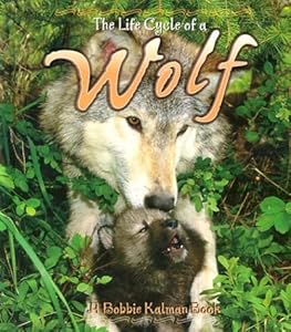 Wolf (Life Cycle of A...)