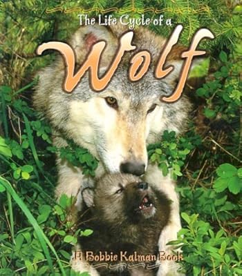 Wolf (Life Cycle of A...)