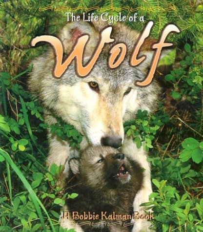 Wolf (Life Cycle of A...) by Bobbie Kalman