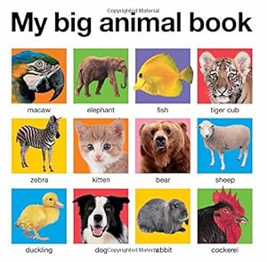My Big Animal Book