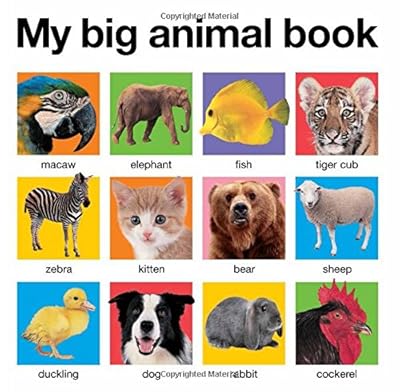 My Big Animal Book