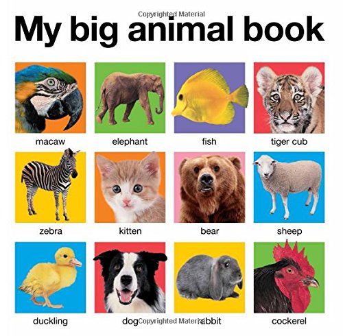 My Big Animal Book by Roger Priddy