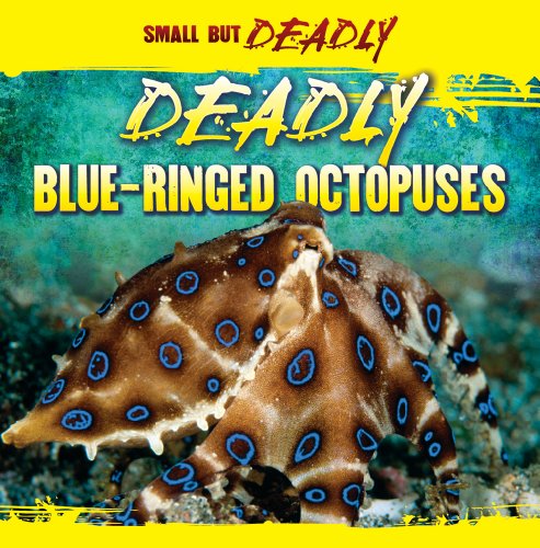 Deadly Blue-Ringed Octopuses (Small But Deadly) by Daisy Allyn