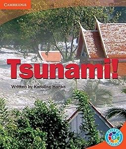 Rainbow Reading Level 5 - Landscape: Tsunami! Box D