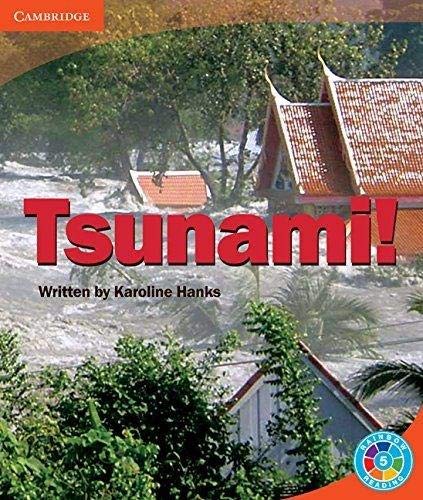 Rainbow Reading Level 5 - Landscape: Tsunami! Box D by unknown author