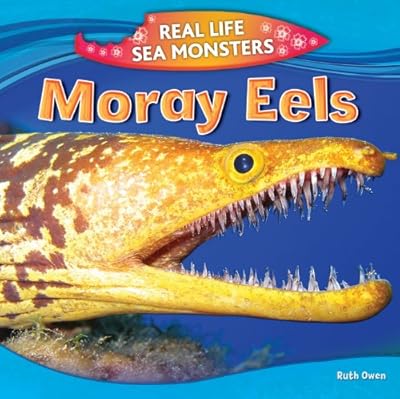 Moray Eels