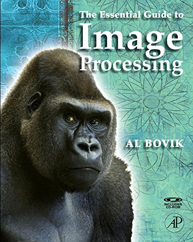 The Essential Guide to Image Processing by Alan C. Bovik
