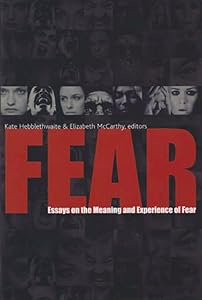 Fear: Essays on the Meaning and Experience of Fear by Kate Hebblethwaite