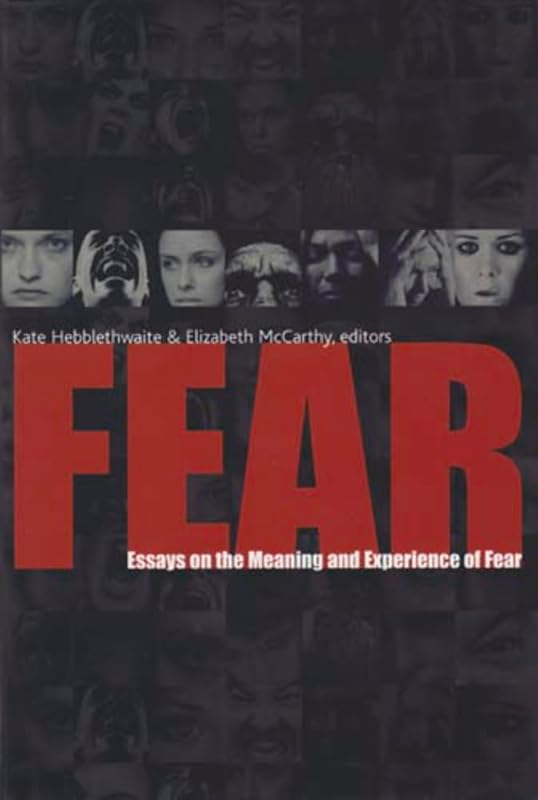 Fear: Essays on the Meaning and Experience of Fear by Kate Hebblethwaite