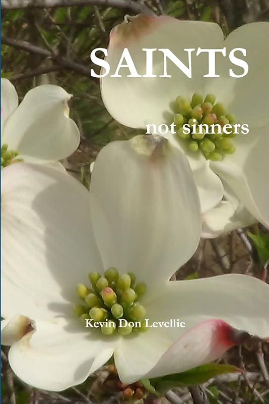 SAINTS not sinners by Kevin Don Levellie