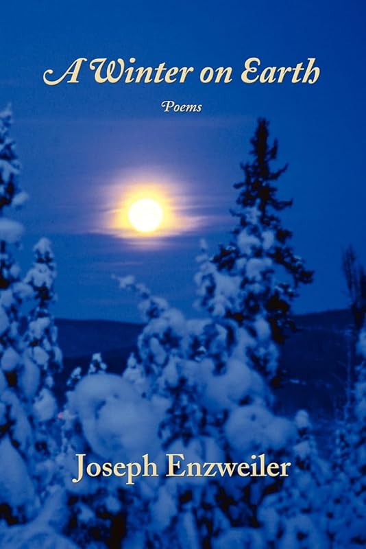 A Winter on Earth by Joseph Enzweiler