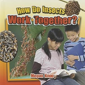 How Do Insects Work Together?