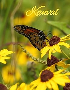 Kanval's Journal