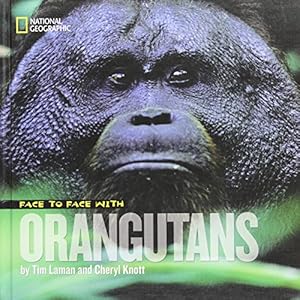 Face to Face With Orangutans