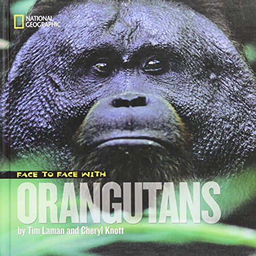Face to Face With Orangutans by Tim Laman
