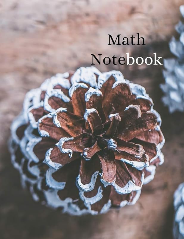 Math Notebook: 120 pages, math notebook, quad ruled workbook, 8.5 x 11 inch large soft cover journal, 4 squares per inch suited for kids and students by Jed Nash