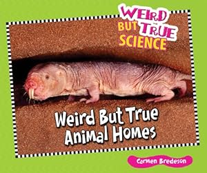Weird But True Animal Homes