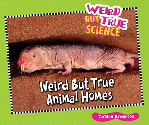 Weird But True Animal Homes by Carmen Bredeson
