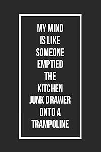 My Mind Is Like Someone Emptied the Kitchen Junk Drawer Onto a Trampoline: Funny Journals for Adults