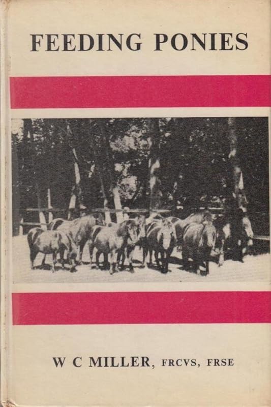 feeding ponies by Miller